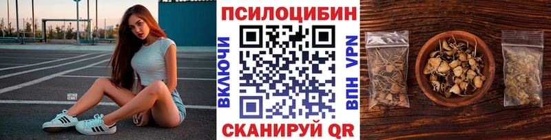 Купить закладки  Полтавская  Псилоцибиновые грибы MAGIC MUSHROOMS 